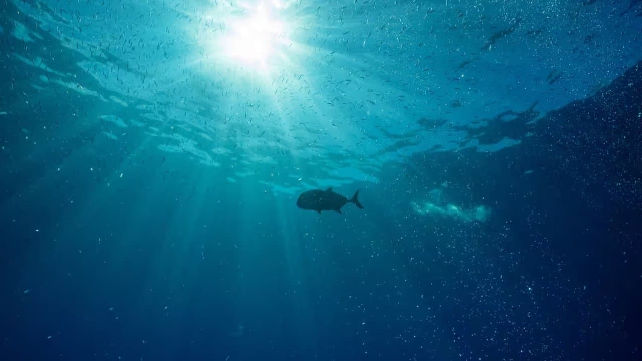 Hope in the Waterの背景画像
