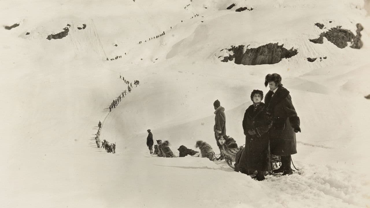 The Chechahcosの背景画像