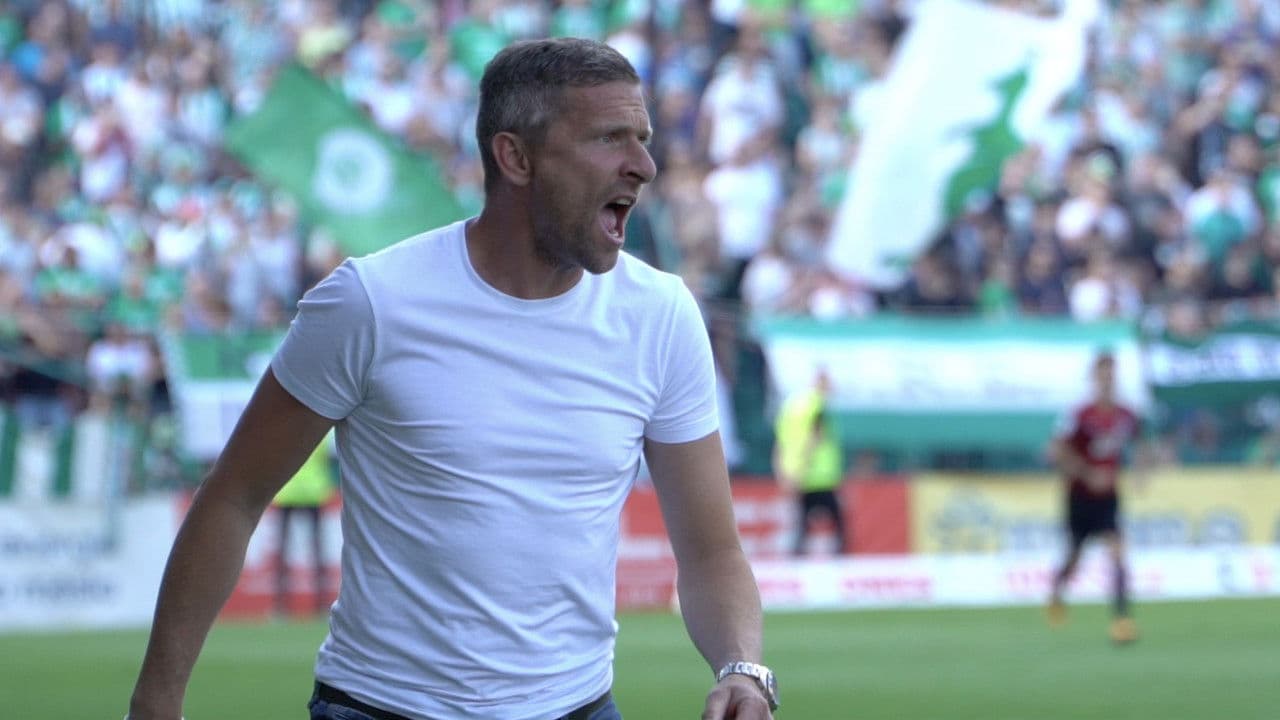 Hašan (ten trenér)の背景画像