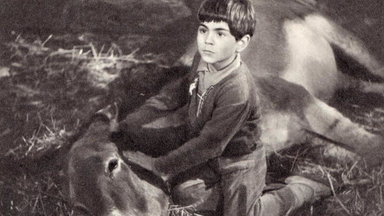 The Small Miracleの背景画像