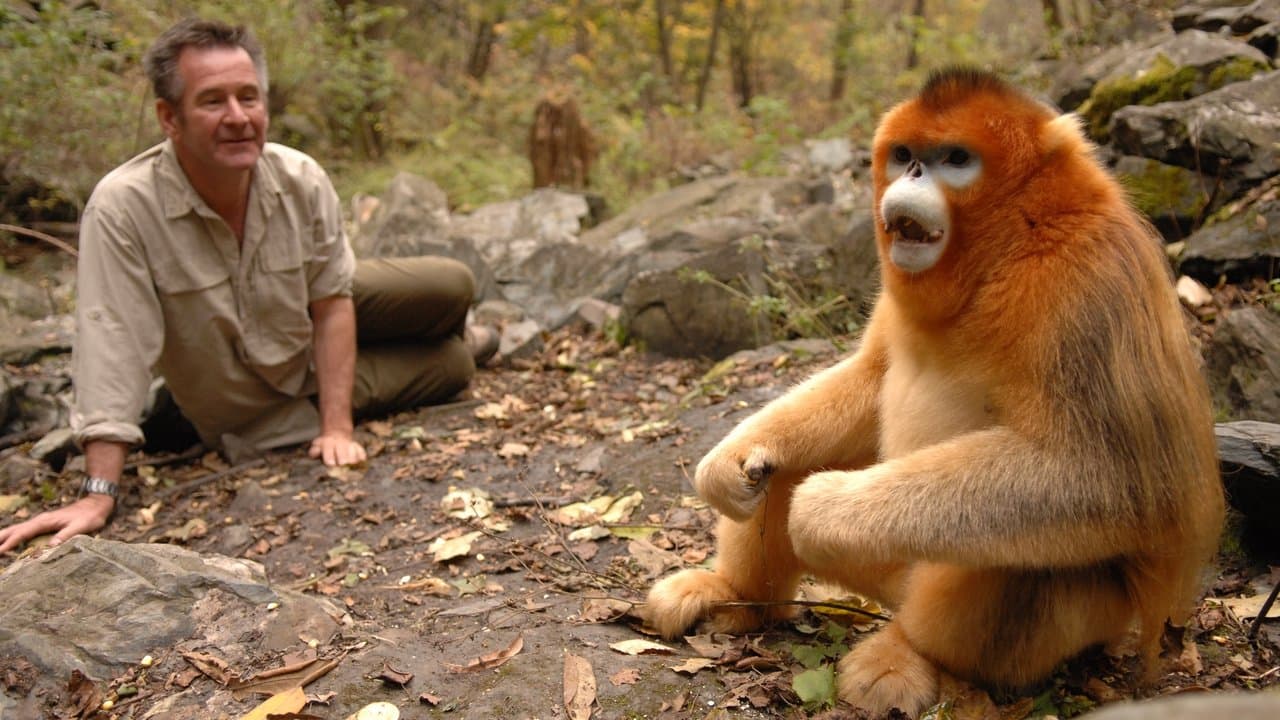 Untamed Chinaの背景画像