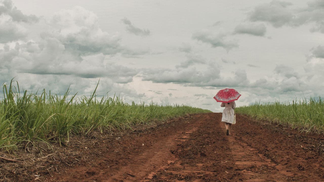 Kirirîの背景画像