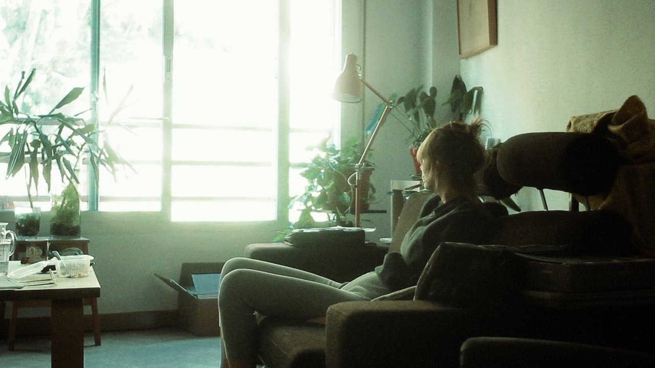 El ruido solarの背景画像