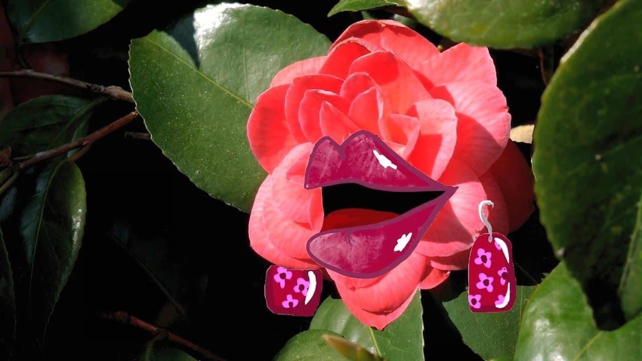 Girls' Nightの背景画像