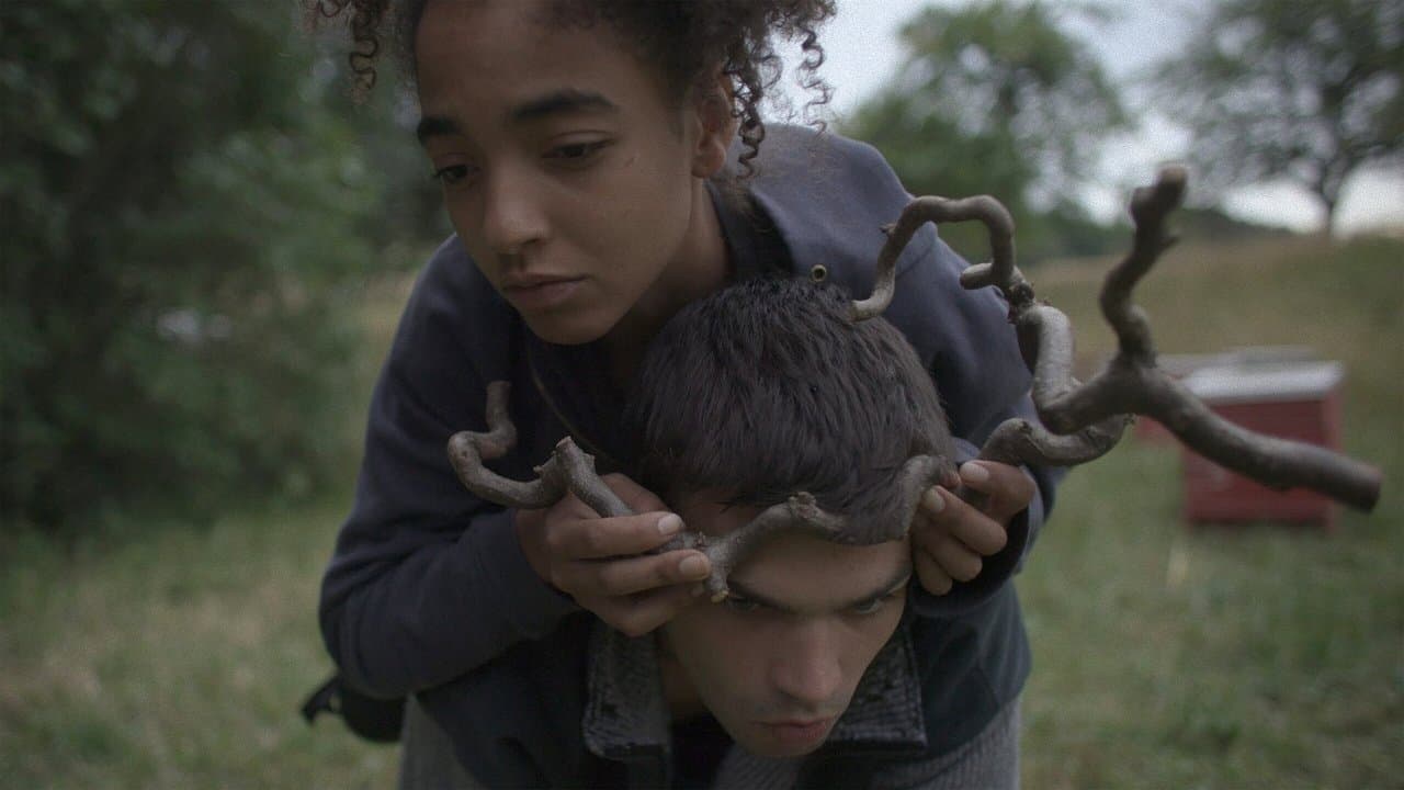 Schimmerの背景画像