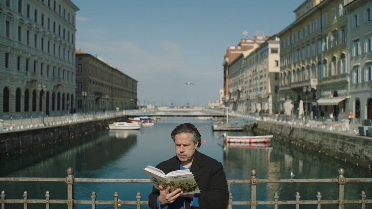 Kino Voltaの背景画像