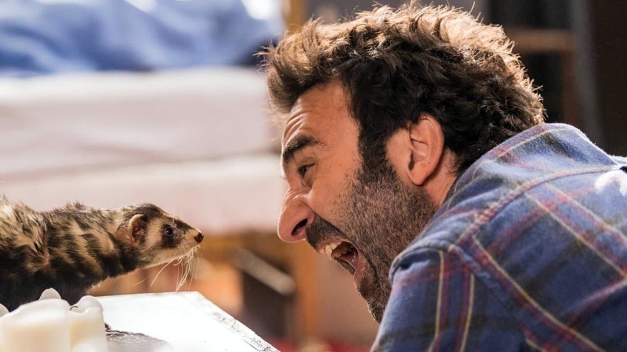 Le furetの背景画像