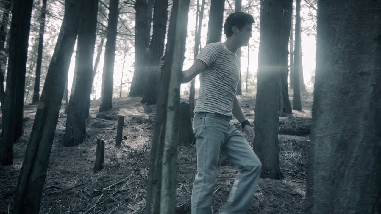 ロミーナの背景画像