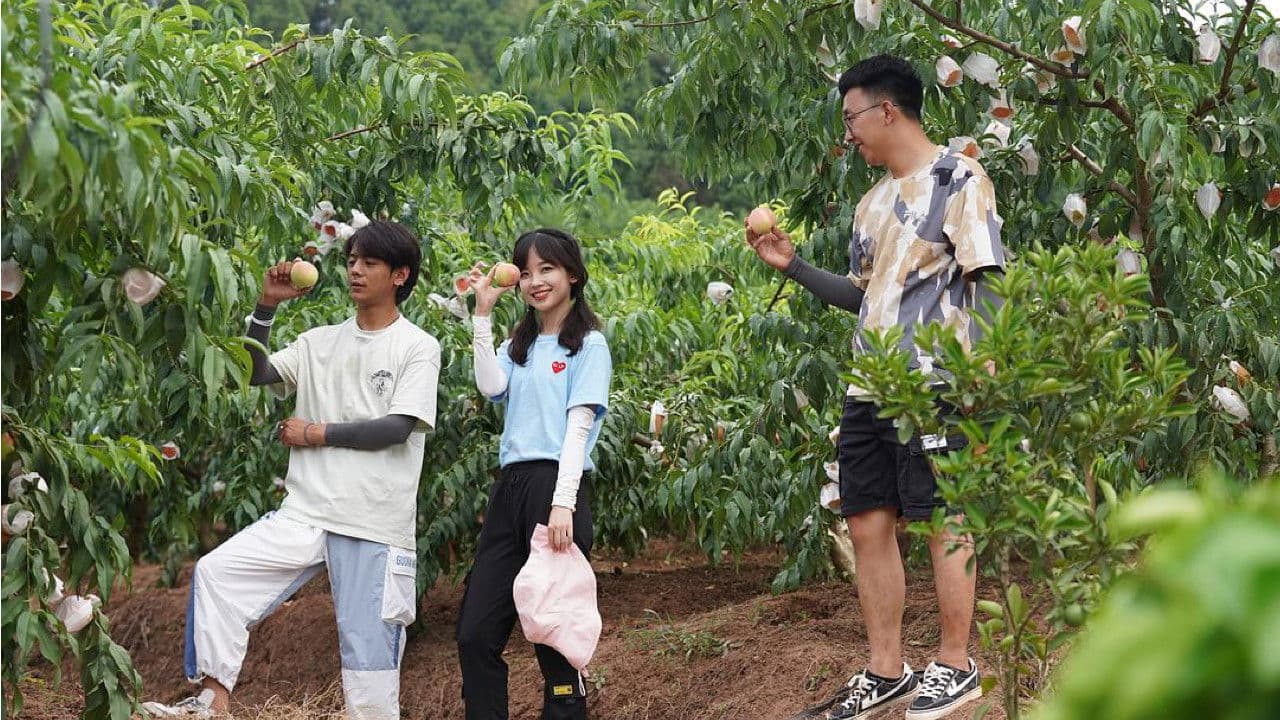 生活有点“田”の背景画像