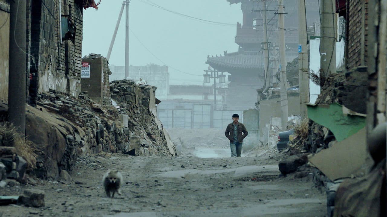 年年岁岁の背景画像