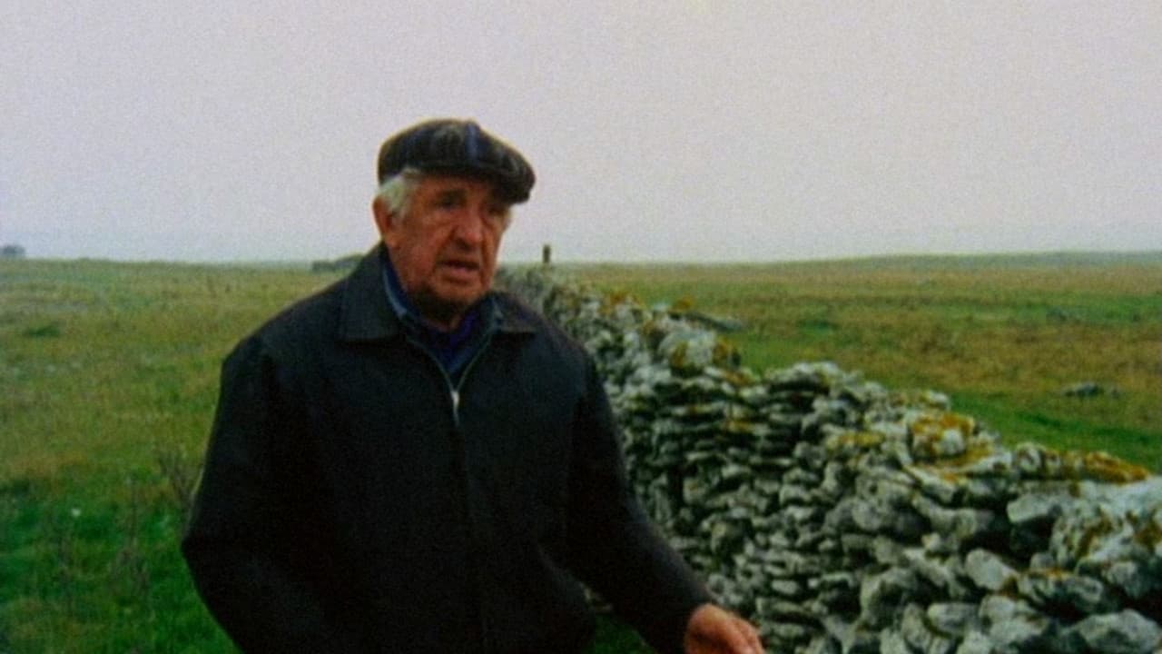 Fårödokument 1979の背景画像