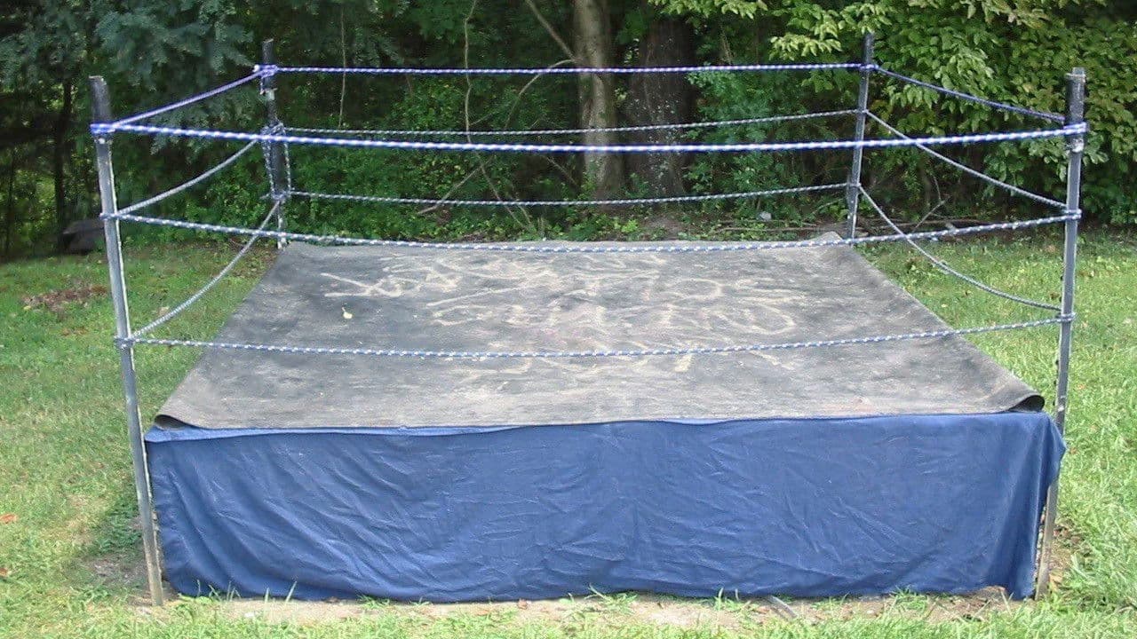 Backyard Dogsの背景画像