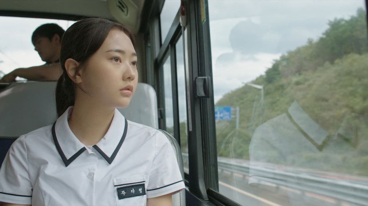 그 여름날의 거짓말の背景画像