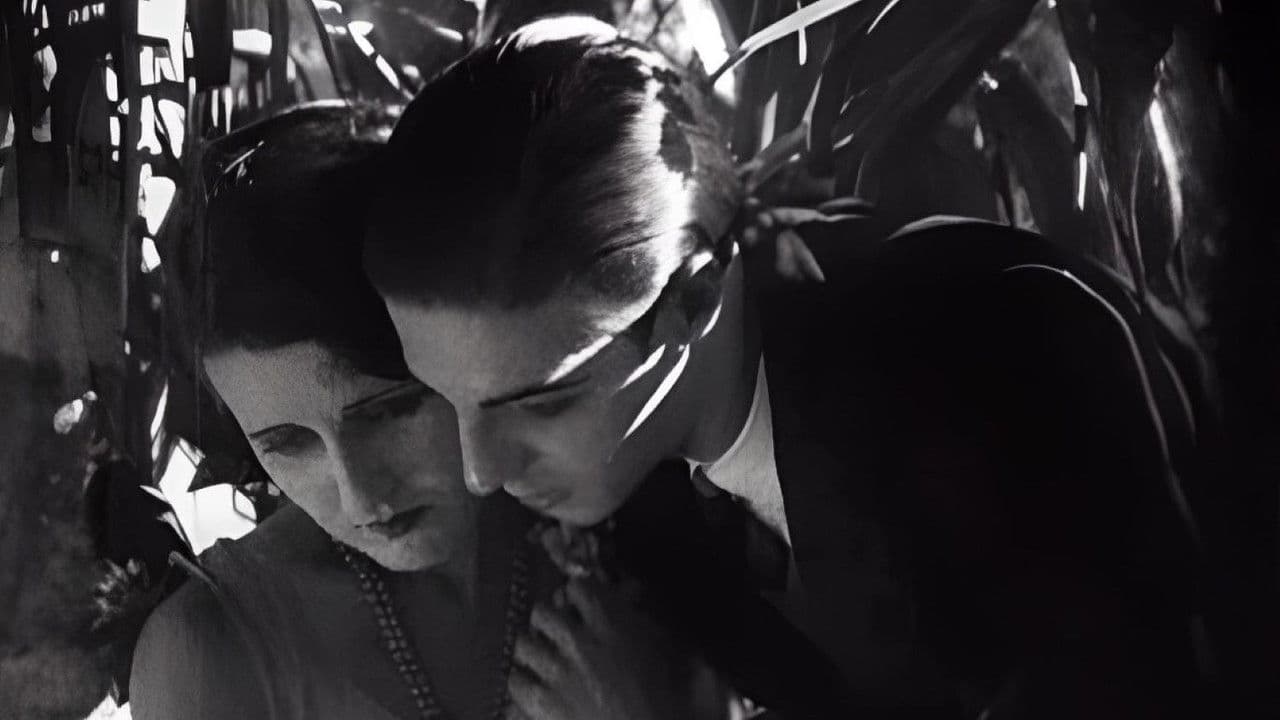 Belezas Brasileirasの背景画像