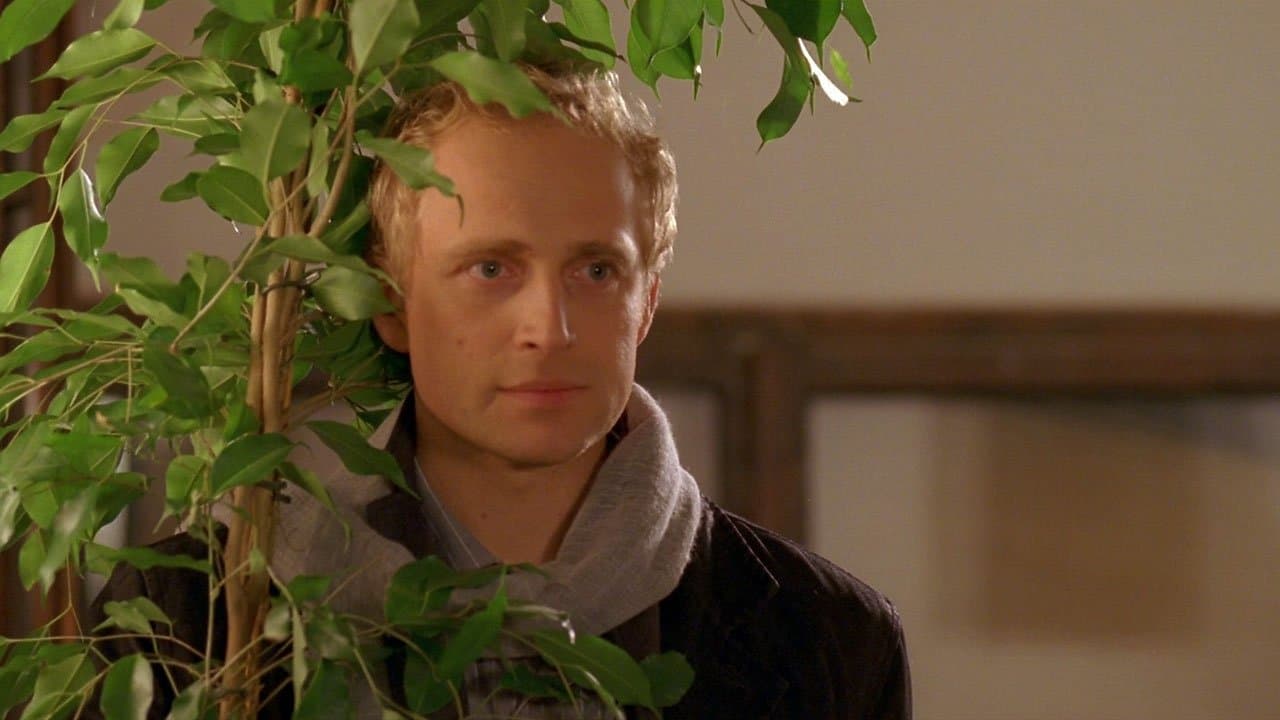 Nie kłam kochanieの背景画像