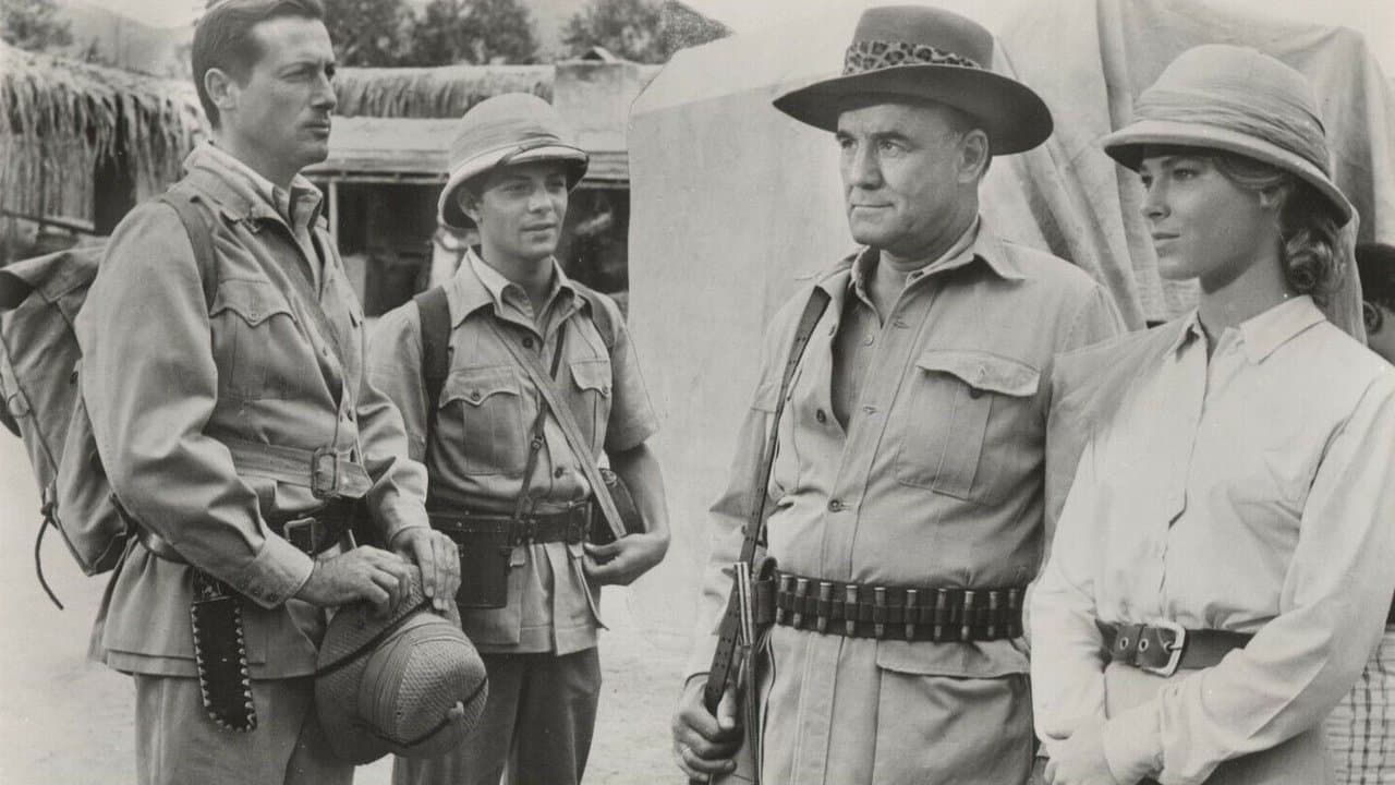 Drums of Africaの背景画像