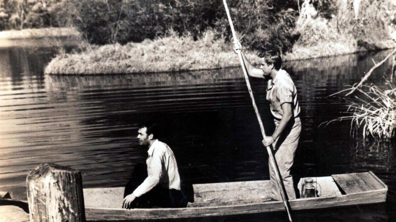 Lure of the Swampの背景画像