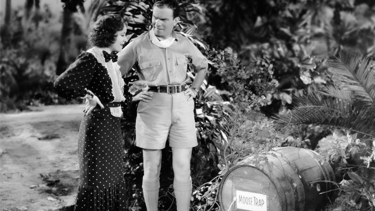 We're Not Dressingの背景画像