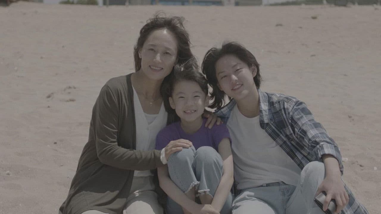 담쟁이の背景画像