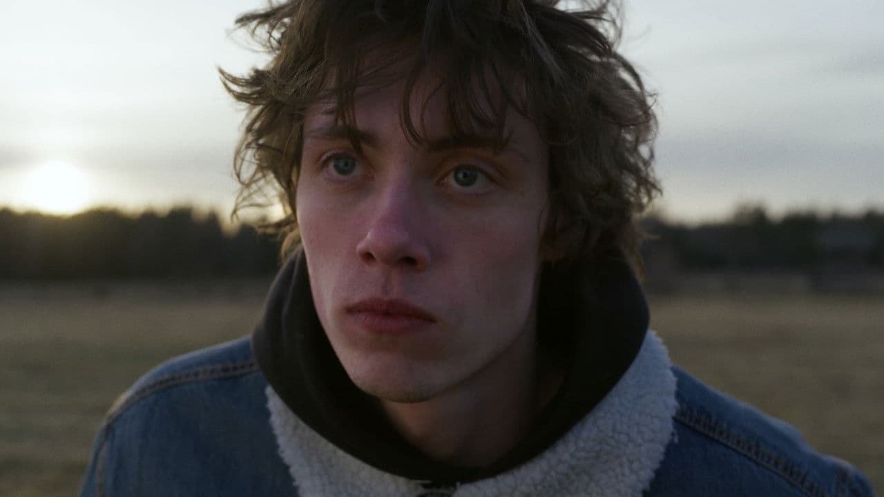 Molkom-Coreの背景画像