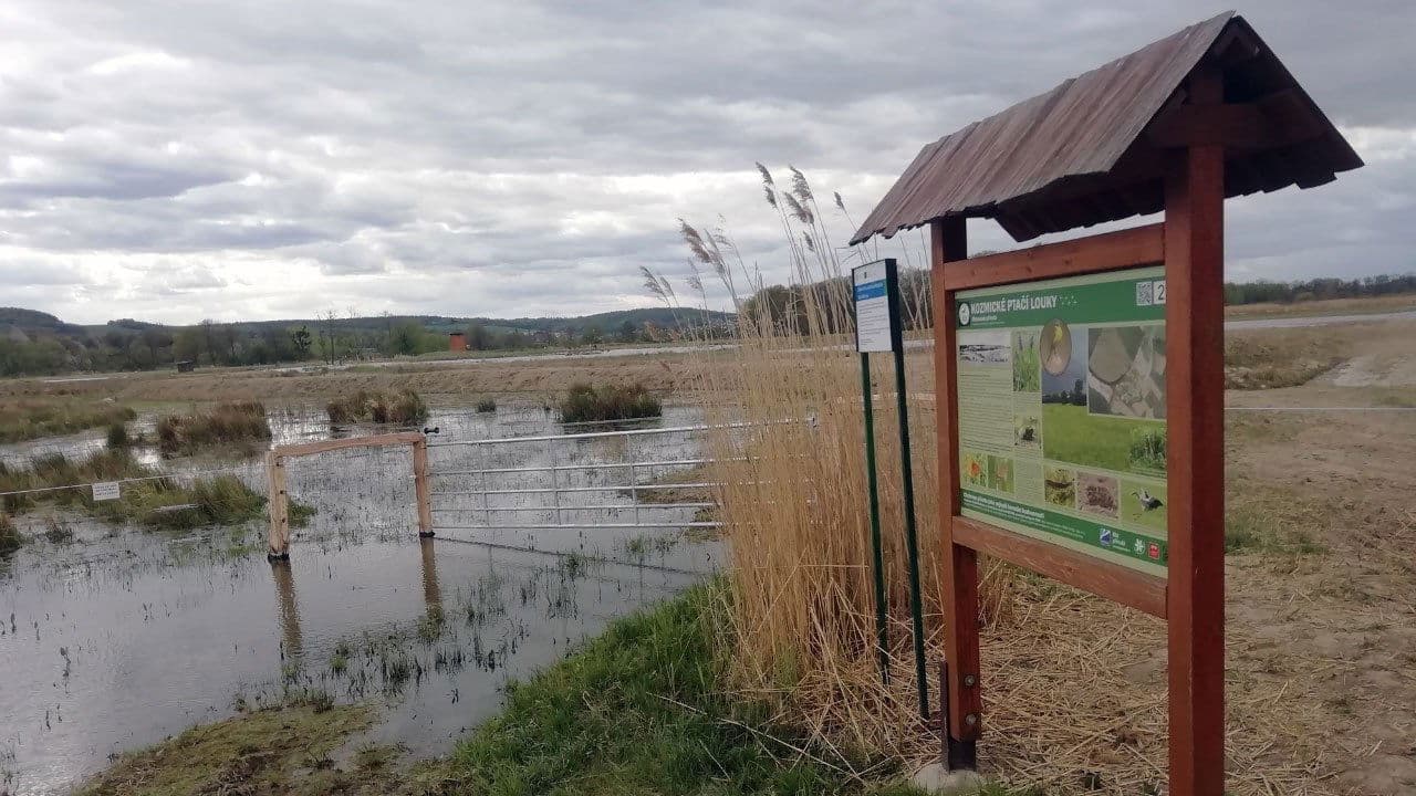 Česko řeší klimaの背景画像