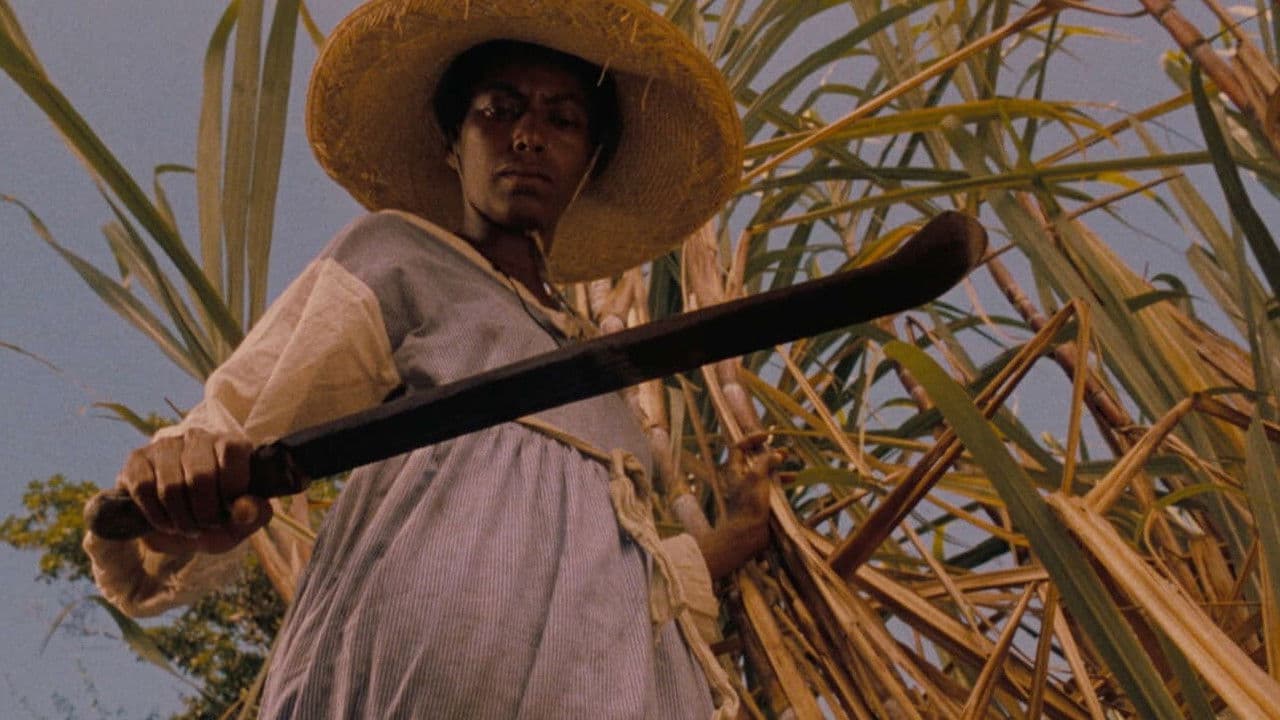 Sankofaの背景画像