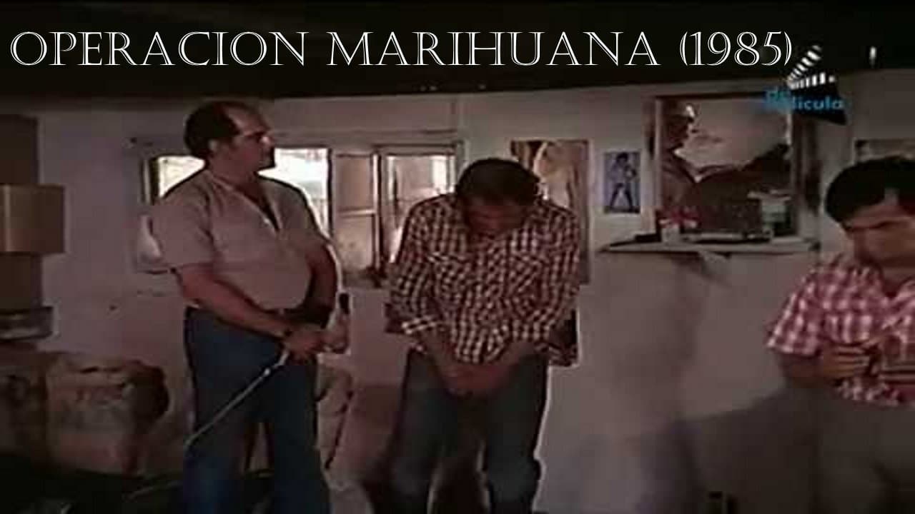 Operacion marihuanaの背景画像