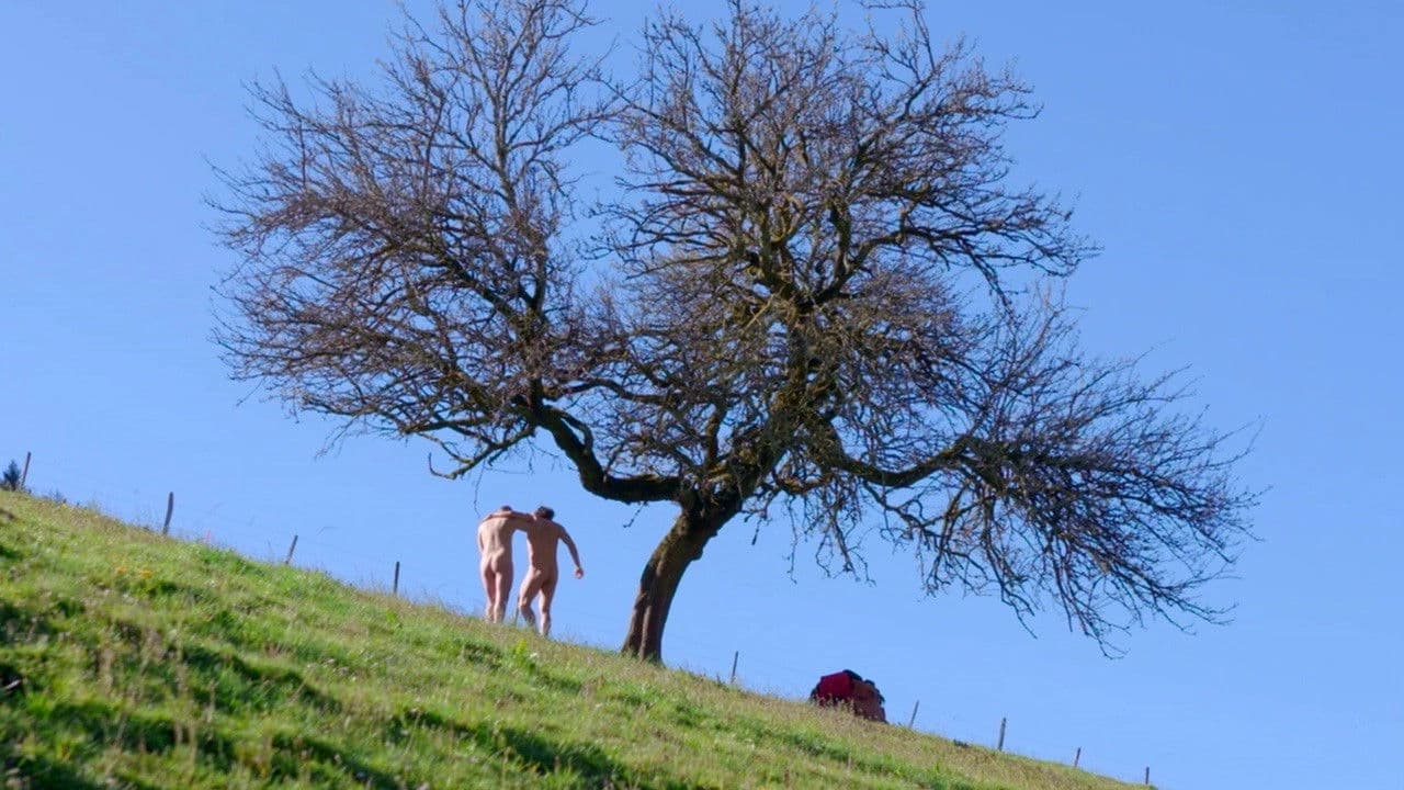 Balbuzards pêcheursの背景画像