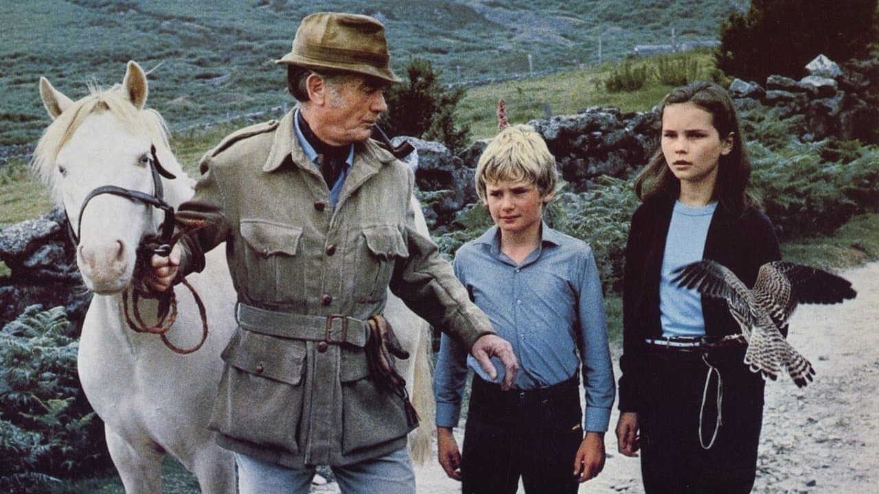 野にかける白い馬のようにの背景画像