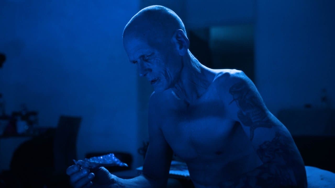 Paradise Morbidの背景画像