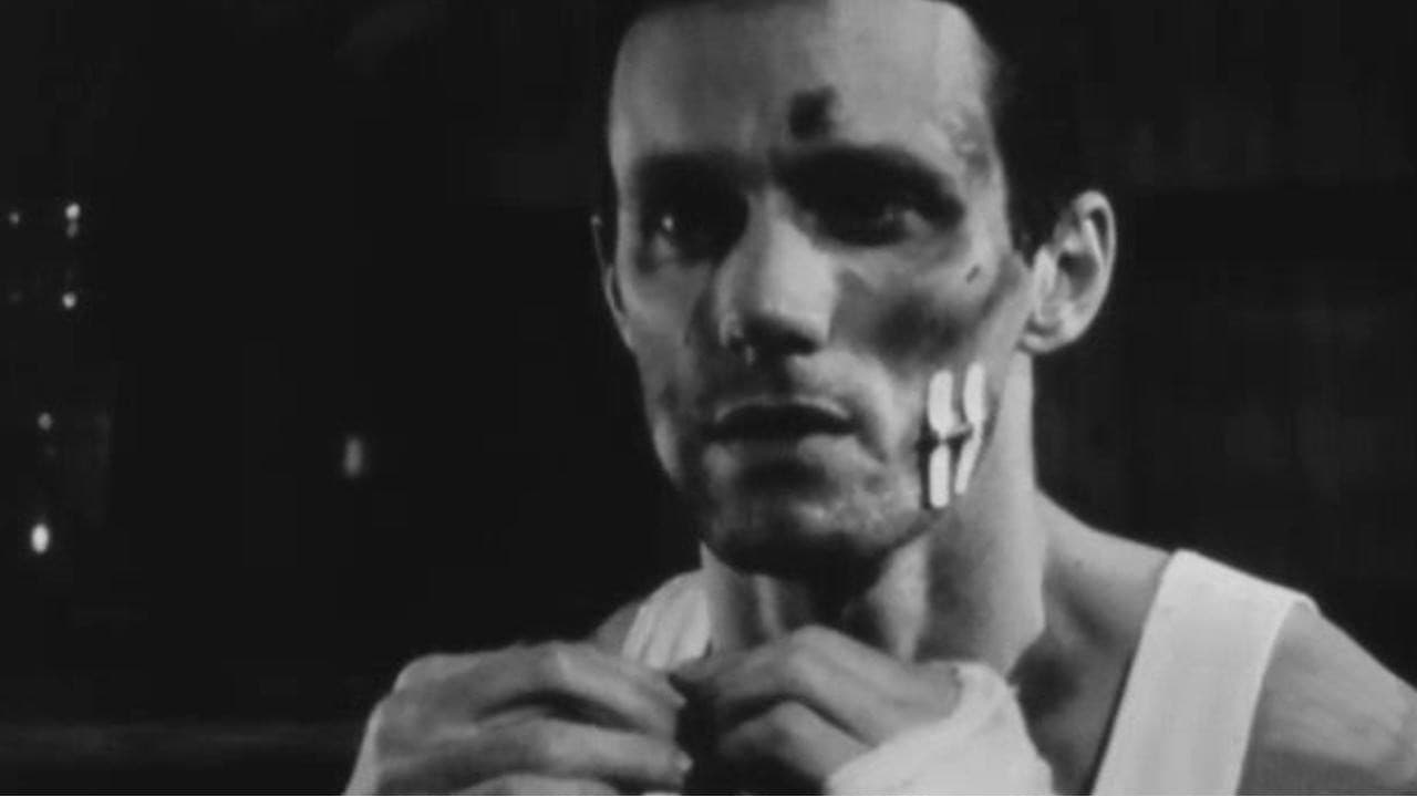 Night Outの背景画像