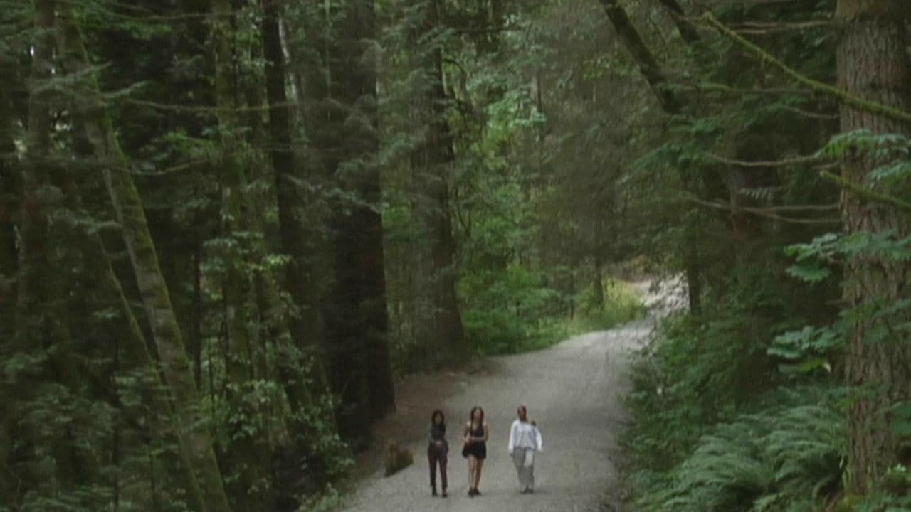 You Hide in Hopeの背景画像