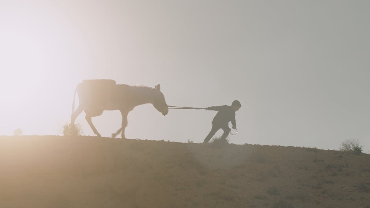 Nefta Football Clubの背景画像