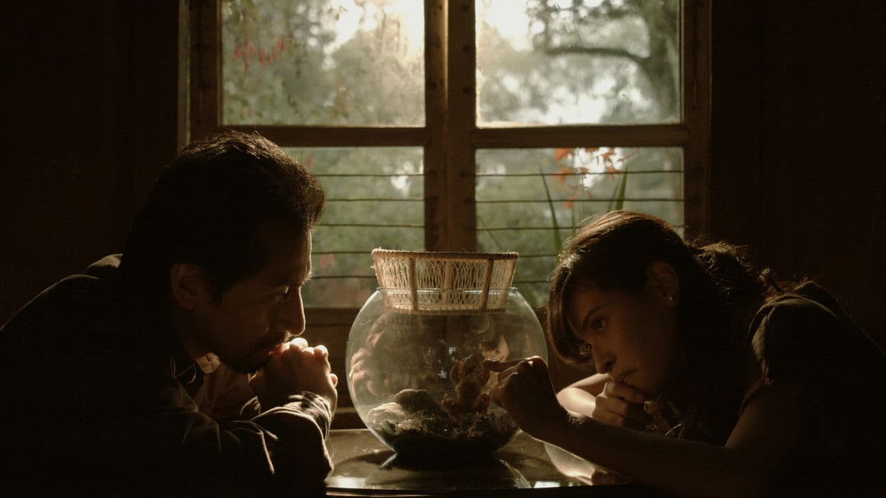 El Mar Entre las Casasの背景画像