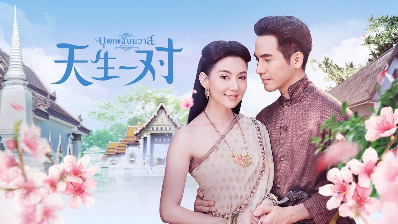 天生一对优酷版の背景画像