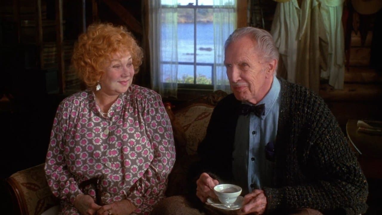 八月の鯨の背景画像