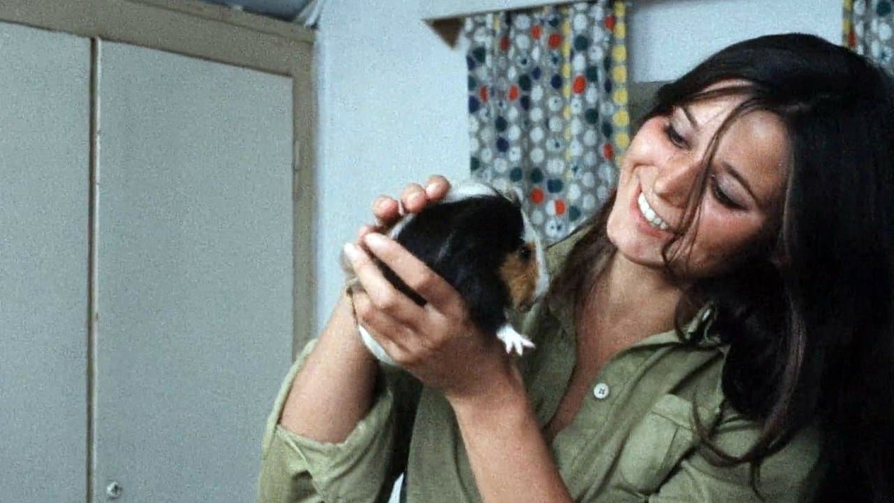 Die Spalteの背景画像