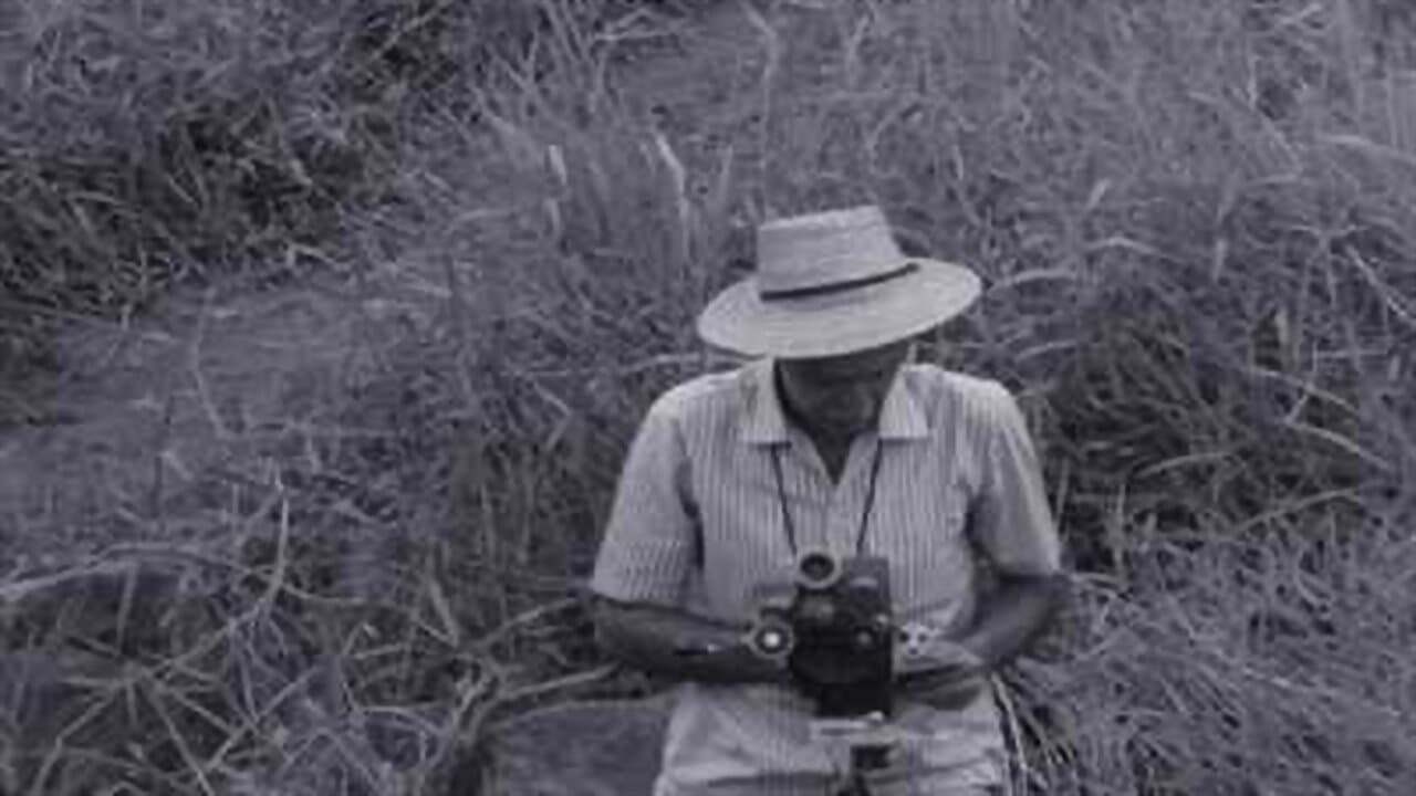 Humberto Mauroの背景画像