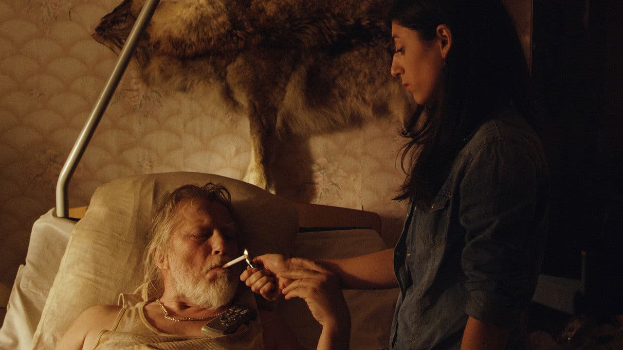 Senisの背景画像