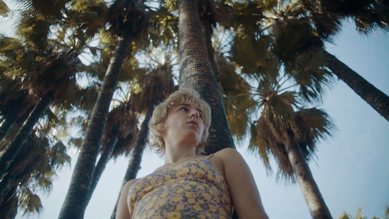 Camperの背景画像