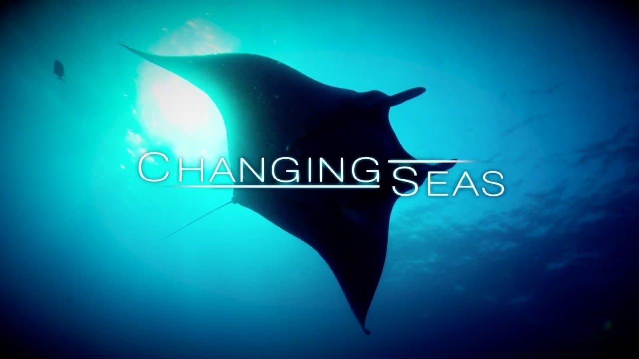 Changing Seasの背景画像