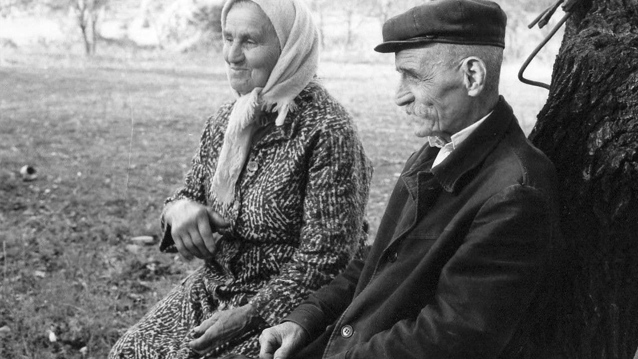 The Hand of Stalinの背景画像