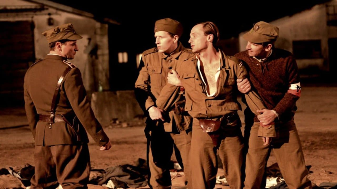 Zgodaの背景画像