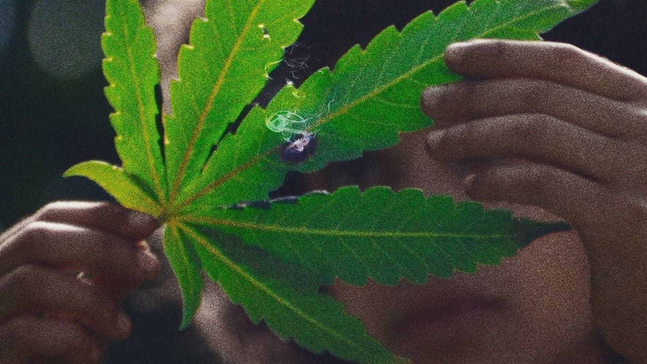 Grasslandの背景画像