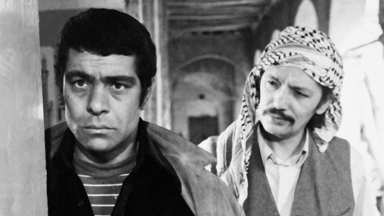 غریبهの背景画像