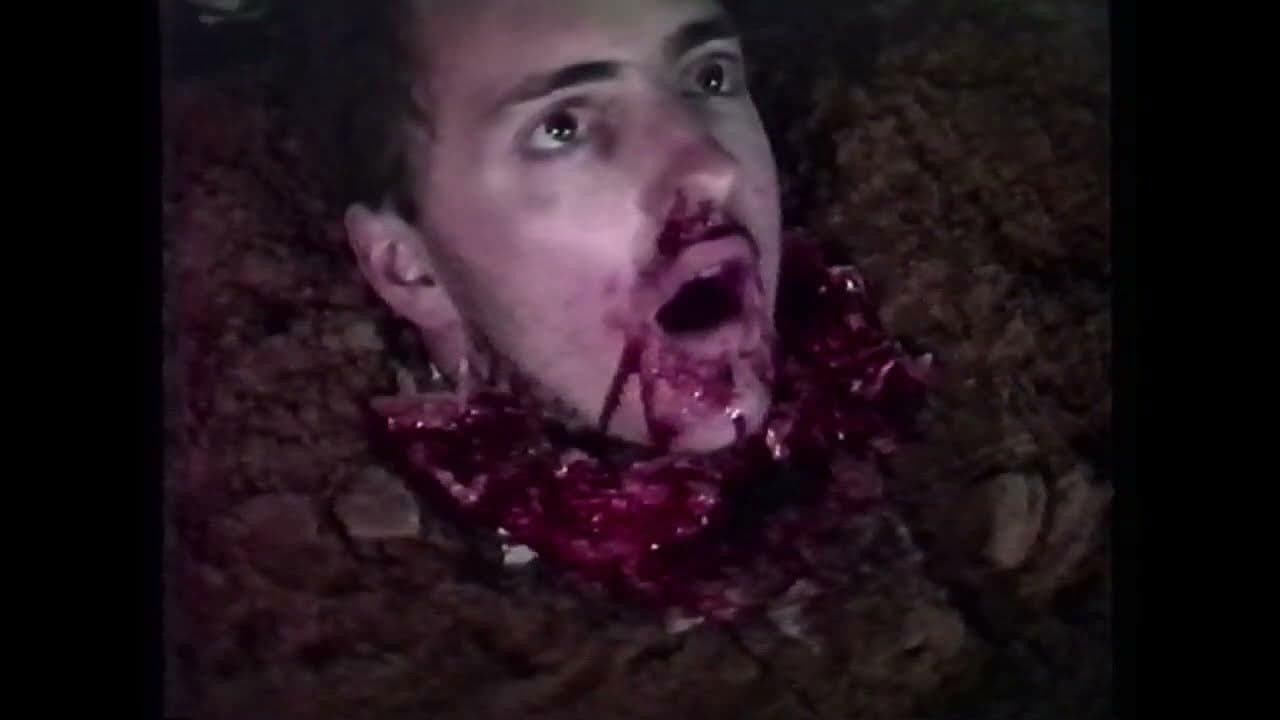 Shreckの背景画像