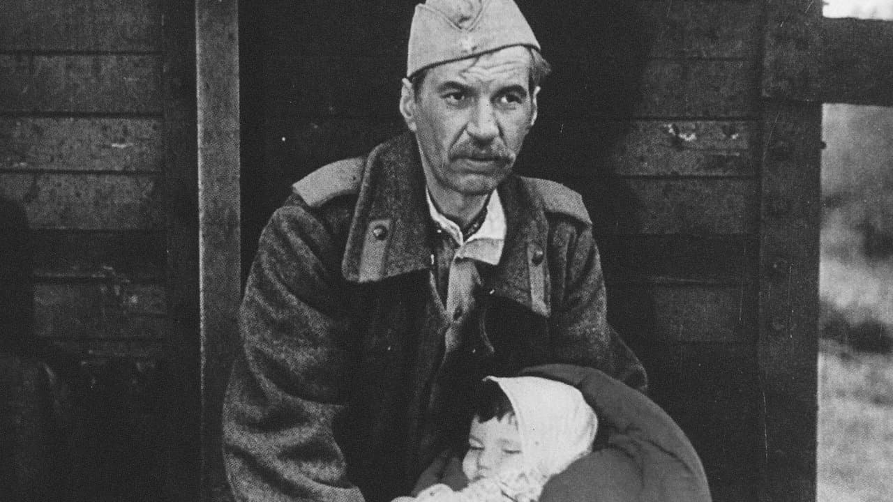 Кадкина всякий знаетの背景画像