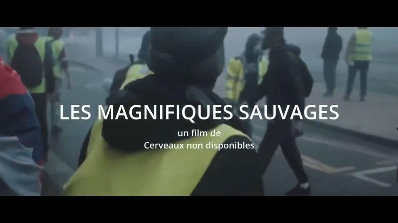 Les Magnifiques sauvagesの背景画像