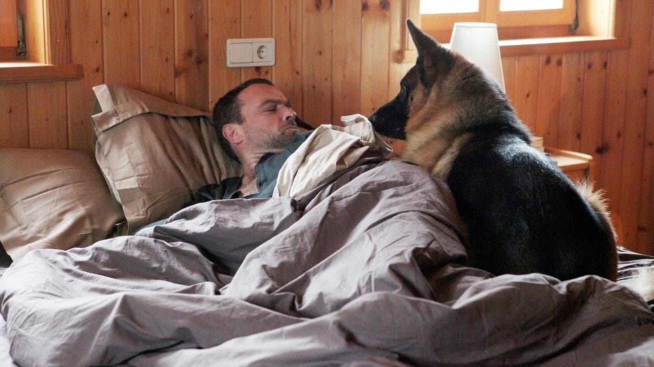 Kommissar Rex - Eiszeitの背景画像