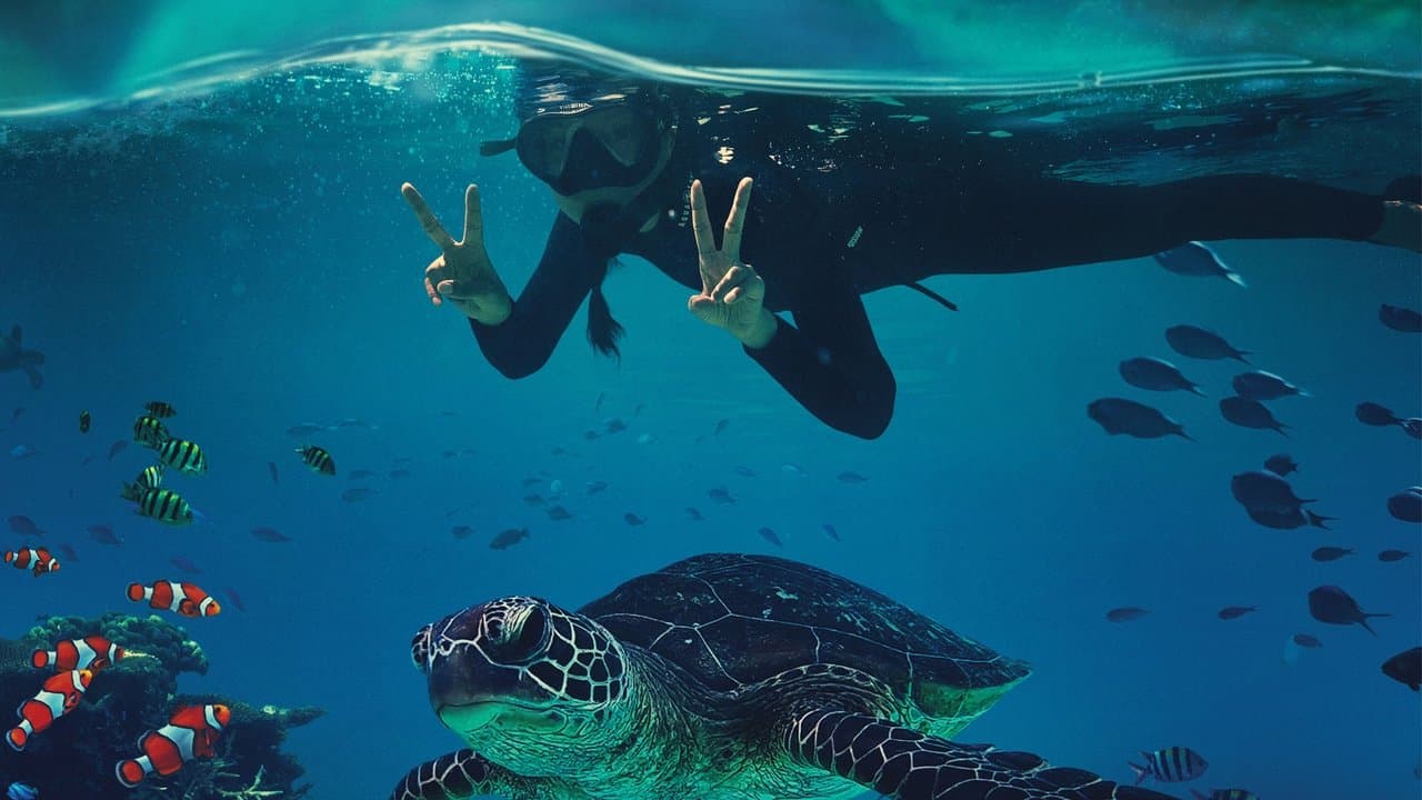 Beyond the Reefの背景画像